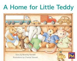 Home for Little Teddy