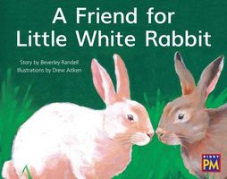 Friend for Little White Rabbit,