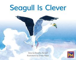 Seagull Is Clever
