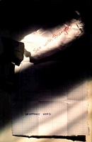 Cover of Sex With Strangers by Geoffrey Rees
