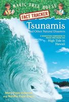 Tsunamis and Other Natural Disasters