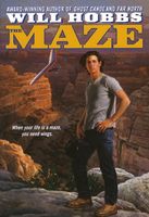 The Maze