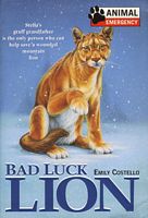 Bad Luck Lion