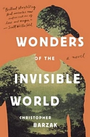 Wonders of the Invisible World