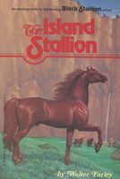 The Island Stallion