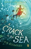 A Crack in the Sea