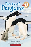 Plenty of Penguins