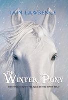 The Winter Pony