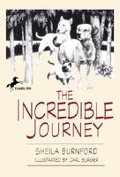 Paperback edition cover