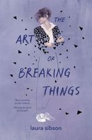 The Art of Breaking Things