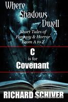 eBook edition cover
