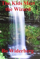 Cover of The Kids Meet the Wizard by Bo Widerberg