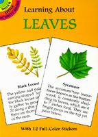 Learning about Leaves