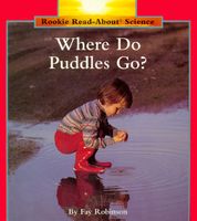 Where Do Puddles Go?