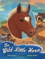 The Wild Little Horse