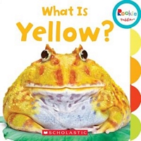 What Is Yellow?