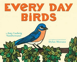 Every Day Birds