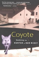 Cover of Coyote: Seeking the Hunter in Our Midst by Catherine Reid