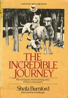 Paperback edition cover