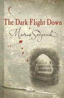 The Dark Flight Down