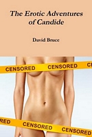Cover of The Erotic Adventures of Candide by David Bruce