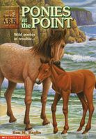 Ponies at the Point
