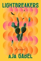 Aja Gabel's Latest Book