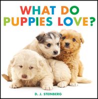 D.J. Steinberg's Latest Book