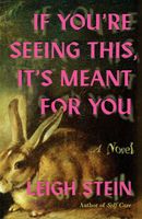 Leigh Stein's Latest Book
