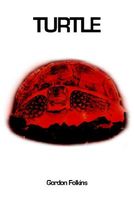 Cover of Turtle by Gordon Folkins