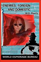 Cover of Enemies, Foreign and Domestic by W.G. Raetz