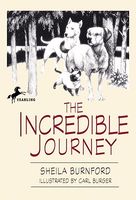 Hardcover edition cover