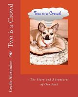 Paperback edition cover