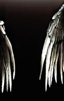 Cover of The Angels of Resistance by David V. Mammina