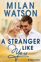 A Stranger Like You
