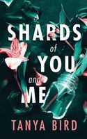 Shards of You and Me