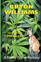 Paperback edition cover