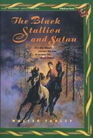 The Black Stallion and Satan