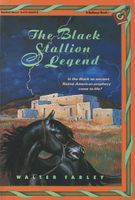 The Black Stallion Legend