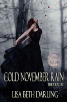 Cover of Cold November Rain by Lisa Beth Darling
