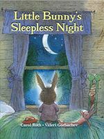 Little Bunny's Sleepless Night