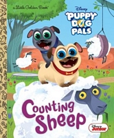 Counting Sheep1