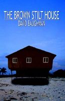 Cover of The Brown Stilt House by David Baughman
