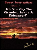 Cover of Did You Say the Grandmother is a Kidanpper? by Sharon Kull