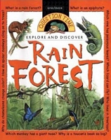 Rain Forest