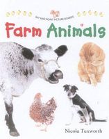 Hardcover edition cover