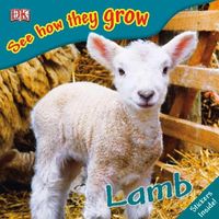 Lamb