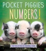 Pocket Piggies Numbers