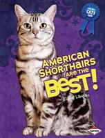 American Shorthairs Are the Best!