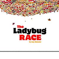 The Ladybug Race